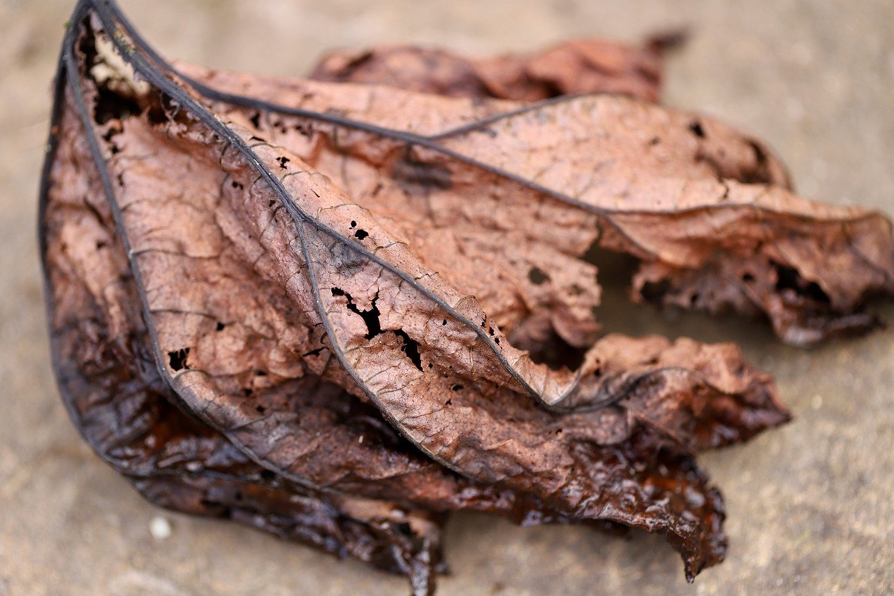 Understanding the Break Down of Waste in Landfills